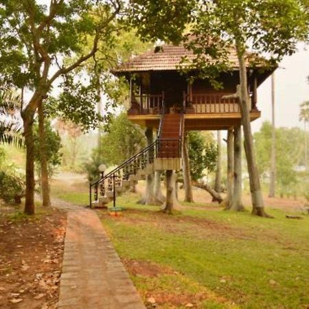Isola Di Cocco Ayurvedic Beach Resort Poovar Exterior photo